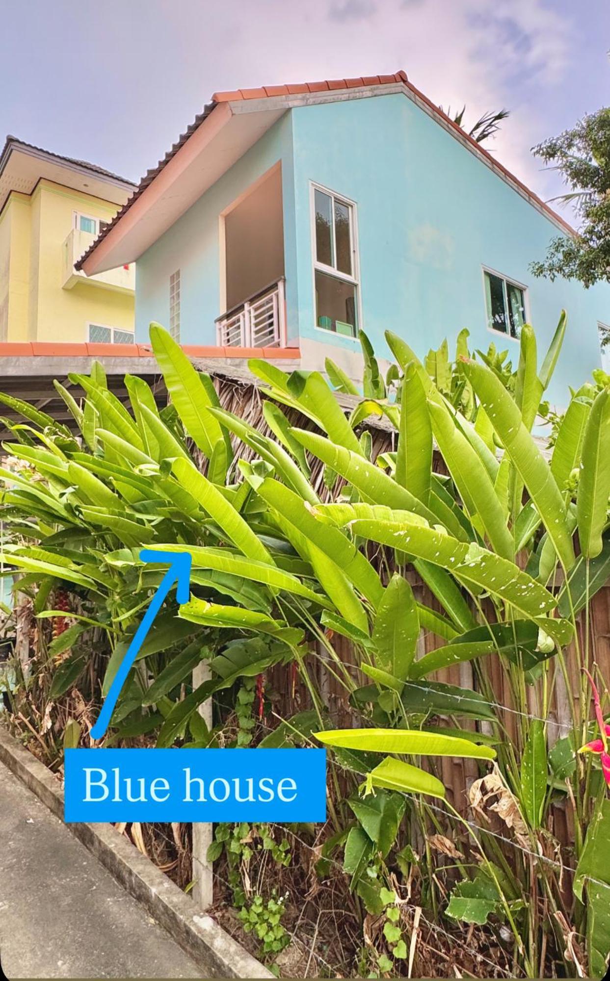 Sea Dreamer Beachfront Apartments Phuket ภายนอก รูปภาพ